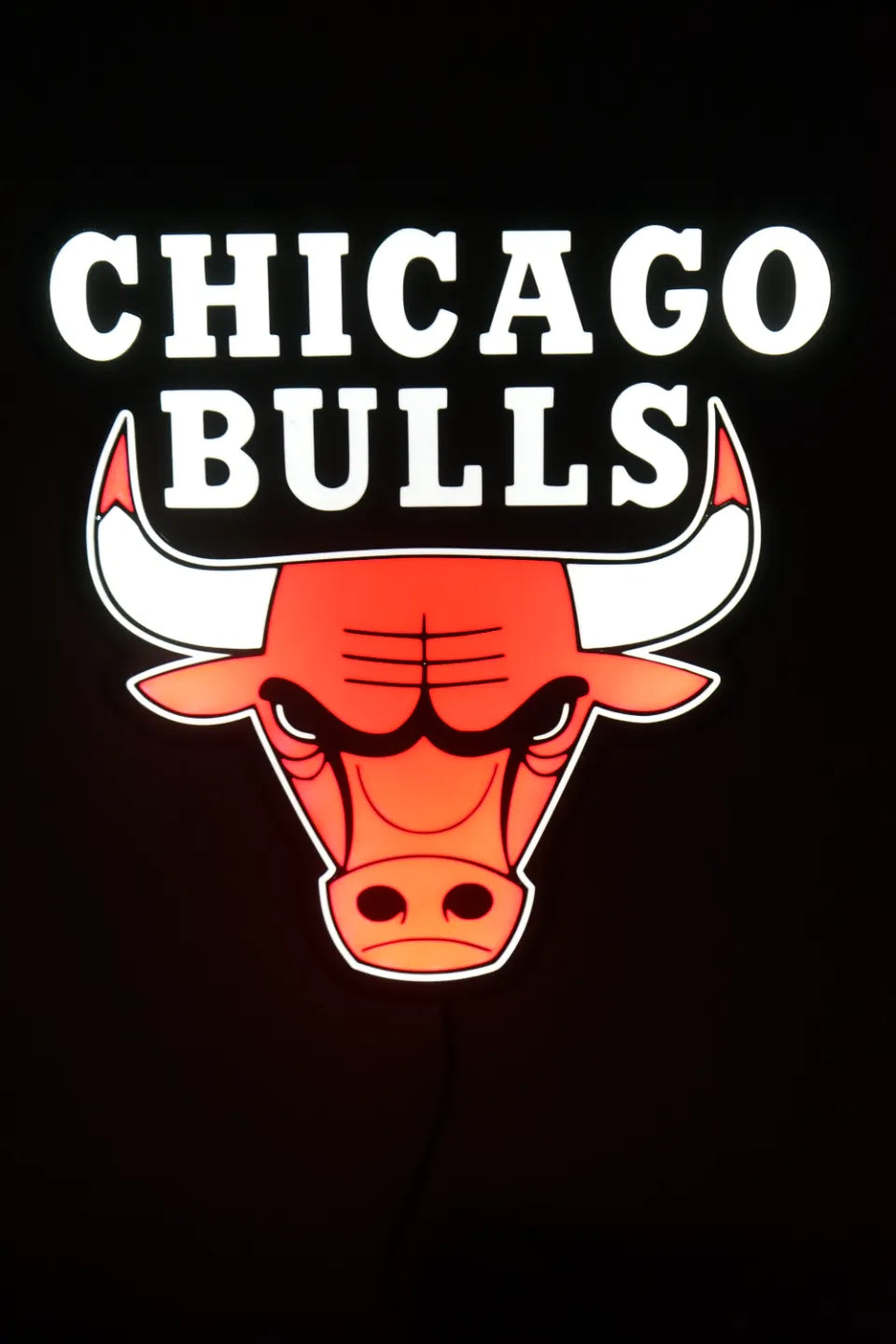 CHICACO BULLS